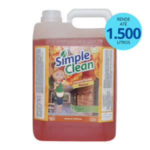 Limpeza Pesada – Concentrado 5 litros